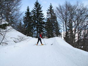 Belle le piste di fondo di Oltre il Colle! (11 febbraio 09)  -  FOTOGALLERY